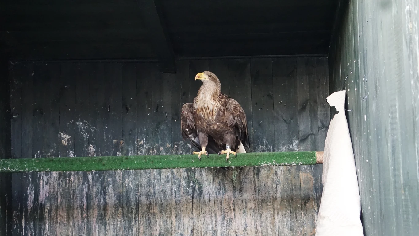 fot. Daria Stojaniuk, Nadleśnictwo Olsztyn fot. Daria Stojaniuk, Nadleśnictwo Olsztyn