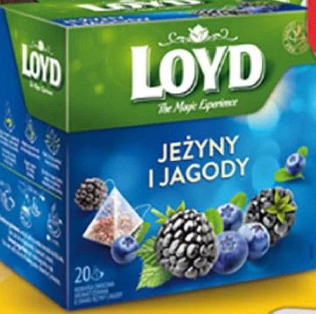 Herbata Loyd