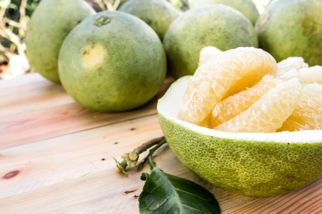 Zastanawiasz się czy w ogóle warto dobrać się do tego olbrzyma? Zdecydowanie tak! Pomelo ma bogaty pakiet składników, dzięki którym odżywisz komórki i wzmocnisz odporność. Jak większość cytrusów obfituje w witaminę C, a także tiaminę, niacynę, ryboflawinę, witaminę B6, witaminę A oraz szereg składników mineralnych, takich jak wapń, żelazo, magnez, fosfor, potas, sód i cynk. Spożywane regularnie, w małych porcjach, wspiera procesy metaboliczne i sprzyja utrzymaniu dobrej sylwetki. Pomaga wzmocnić kości, zapobiega skurczom mięśni i reguluje ciśnienie tętnicze krwi. Ewa Koza, mamsmak.com Zastanawiasz się czy w ogóle warto dobrać się do tego olbrzyma? Zdecydowanie tak! Pomelo ma bogaty pakiet składników, dzięki którym odżywisz komórki i wzmocnisz odporność. Jak większość cytrusów obfituje w witaminę C, a także tiaminę, niacynę, ryboflawinę, witaminę B6, witaminę A oraz szereg składników mineralnych, takich jak wapń, żelazo, magnez, fosfor, potas, sód i cynk. Spożywane regularnie, w małych porcjach, wspiera procesy metaboliczne i sprzyja utrzymaniu dobrej sylwetki. Pomaga wzmocnić kości, zapobiega skurczom mięśni i reguluje ciśnienie tętnicze krwi. Ewa Koza, mamsmak.com