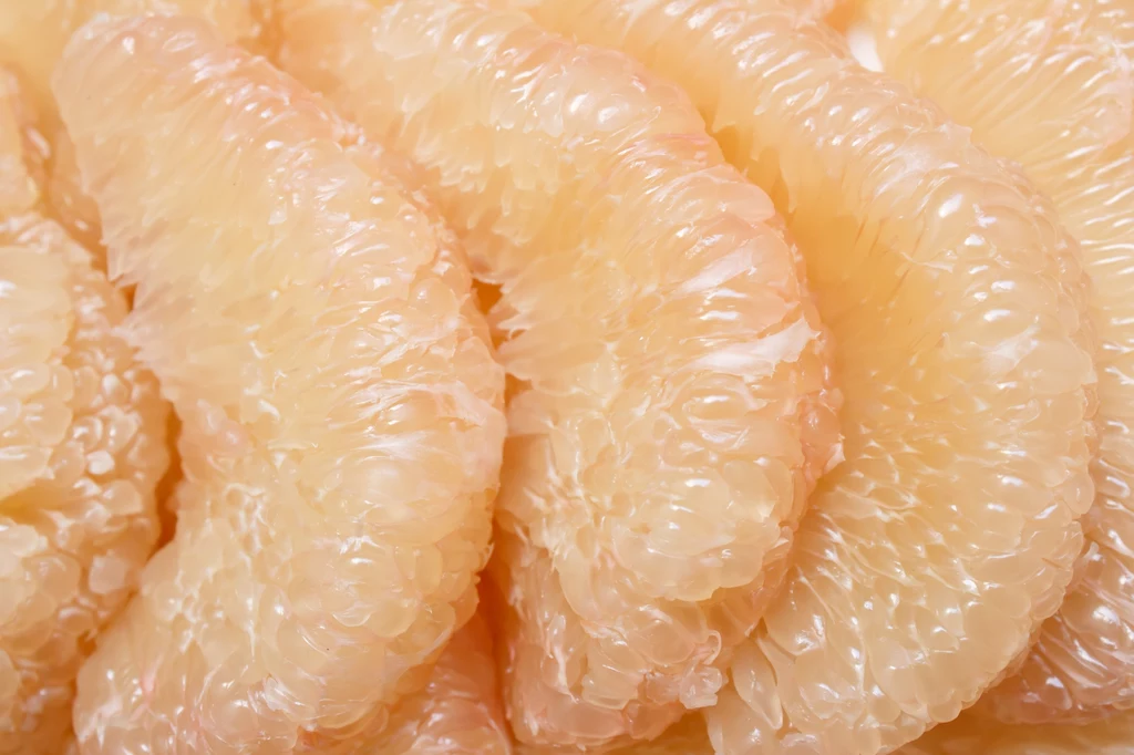 Pomelo to doskonała przekąska dla kilkuosobowej rodziny. Może być spożywany solo, albo stać się elementem zimowej sałatki. Owoc jest cenny odżywczo, ale nie może być zjadany w nadmiarze. Ma wysoką zawartość błonnika. Wypełniając żołądek szybko daje uczucie sytości. Jeśli łapczywie zjemy zbyt dużo, pomelo może sprowokować biegunkę. Delektujmy umiar - ten smakuje najlepiej. Pomelo to doskonała przekąska dla kilkuosobowej rodziny. Może być spożywany solo, albo stać się elementem zimowej sałatki. Owoc jest cenny odżywczo, ale nie może być zjadany w nadmiarze. Ma wysoką zawartość błonnika. Wypełniając żołądek szybko daje uczucie sytości. Jeśli łapczywie zjemy zbyt dużo, pomelo może sprowokować biegunkę. Delektujmy umiar - ten smakuje najlepiej.