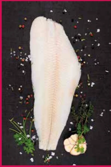 Halibut