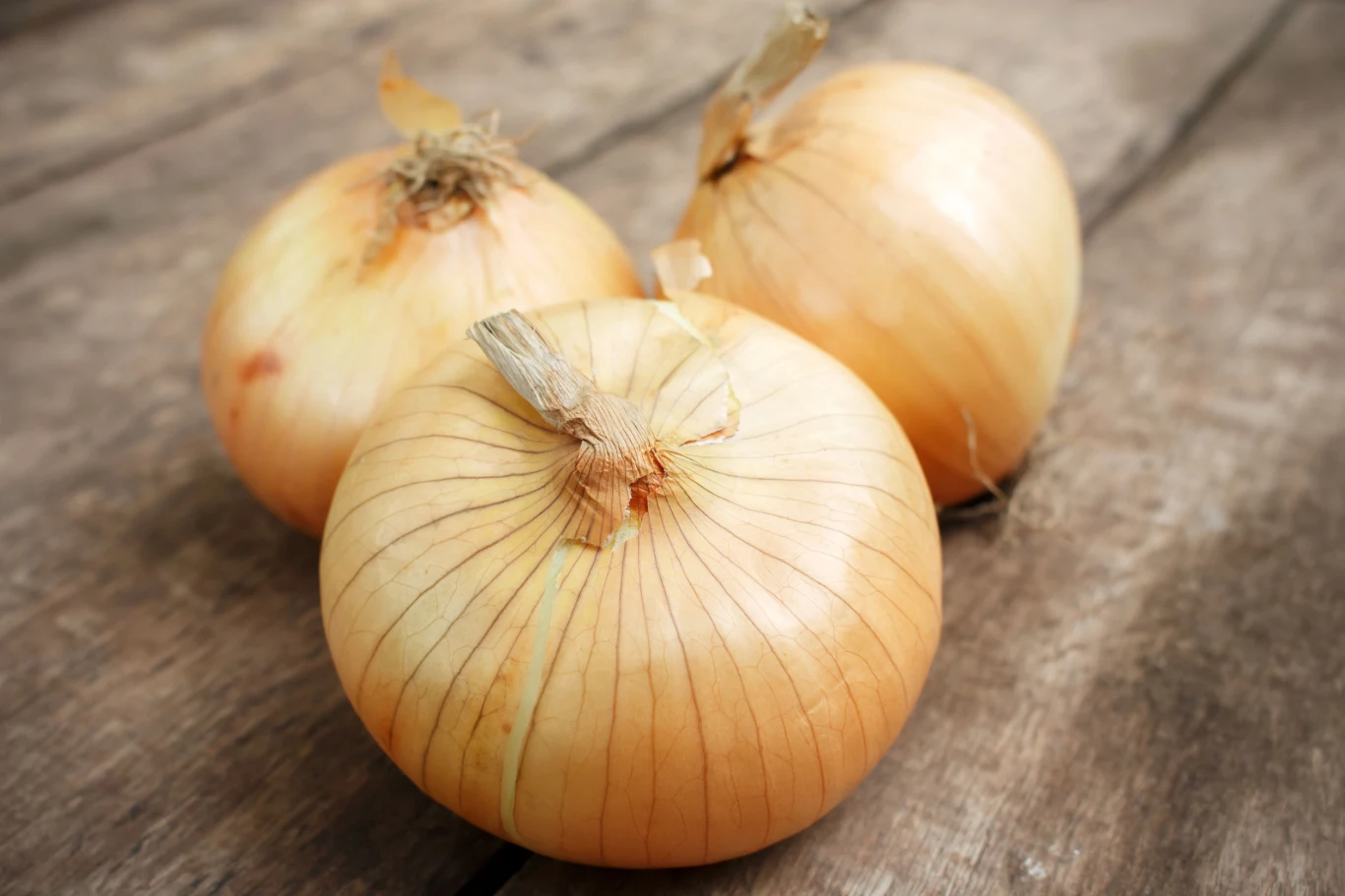 Do wyrazistego smaku syropu można się przyzwyczaić Do wyrazistego smaku syropu można się przyzwyczaić