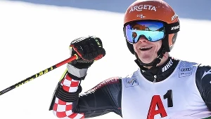 Filip Zubčić