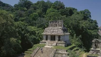 Palenque 

Od wieków fascynuje archeologów oraz turystów. Pierwsza wzmianka na temat miasta pochodzi z 1567 roku. Pedro Lorenzo de la Nada natknął się na nie, gdy przemierzał okolicę. Po tym odkryciu Hiszpanie zaczęli wysyłać coraz częściej grupy ludzi na miejsce, aby odkrywać tajemnice miasta. Bilans wizyt jest zaskakujący. Okazuje się, że przez te wszystkie lata Palenque jest najczęściej odwiedzanym ośrodkiem Majów.

Nazwa „Palenque” oznacza palisadę, która niegdyś otaczała to skupisko pięknych budynków. Badacze pracujący po dziś dzień w archeologicznym kompleksie nieustannie odkrywają kolejne pozostałości po wielkiej cywilizacji Majów. Dzięki świetnie zachowanym inskrypcjom odtworzyli również losy dynastii rządzącej. 
