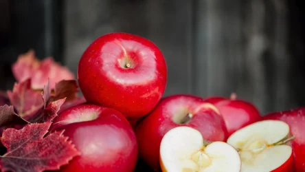 Jabłka często goszczą na polskich stołach. Kiedy najlepiej je zjadać w ciągu dnia? 