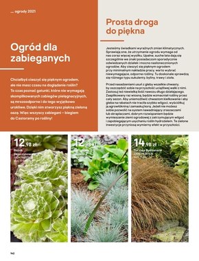 Katalog ogrody - Castorama