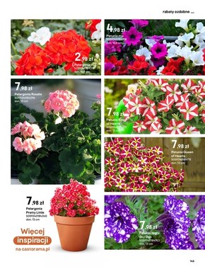 Katalog ogrody - Castorama