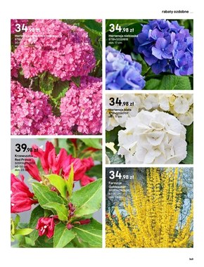 Katalog ogrody - Castorama