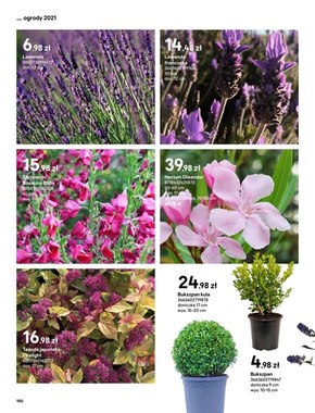 Katalog ogrody - Castorama