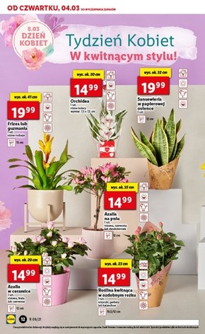 Od czwartku w Lidlu!