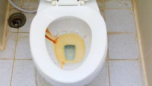 Jak usunąć rdzę z toalety?