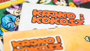 "Kajko i Kokosz" to wstyd i demoralizacja. Trzeba ich poprawić 