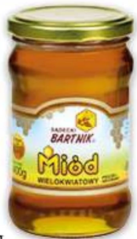 Miód Bartnik