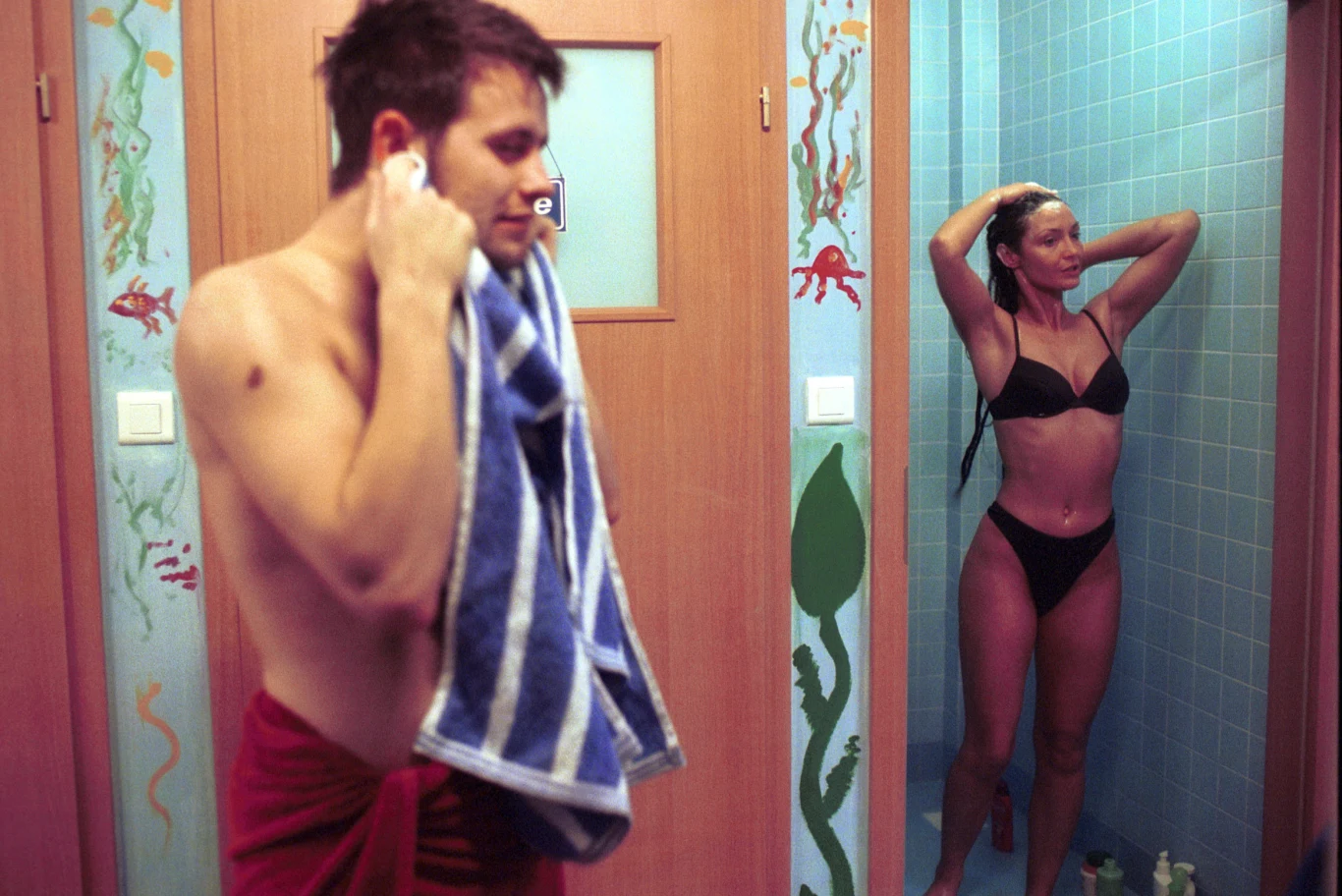 Format reality-show stworzyła holenderska firma Endemol. Jego pierwszą edycję zrealizowano w 1999 roku. W programie pokazywane jest przez całą dobę życie grupy uczestników mieszkających we wspólnym domu i wykonujących polecenia "Wielkiego Brata". Co tydzień odbywa się nominacja osób, które mają odpaść z rywalizacji. Na uczestników z największą liczbą wskazań głosują widzowie, decydując ostatecznie, kto opuści program. W konsekwencji co jakiś czas zmniejsza się ich liczba. W finale pozostają dwie osoby.