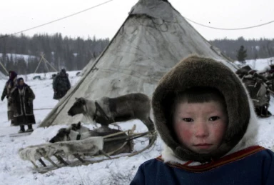 Dla koczowniczych ludów Syberii, renifery to często jedyne źródło utrzymania