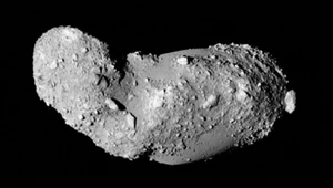 Odkryto wodę i substancje organiczne na asteroidzie