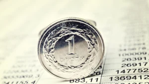 Co dalej z kursem złotego? Rynek walutowy jest mocno rozchwiany. Zdj. ilustracyjne