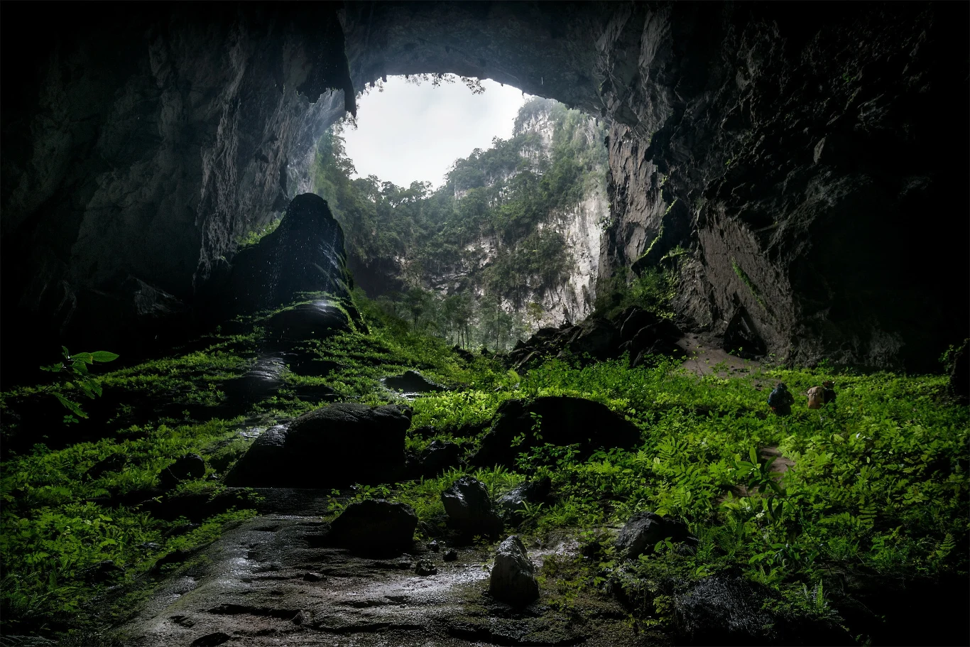 Wnętrze jaskini Hang Son Doong Wnętrze jaskini Hang Son Doong
