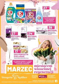 Miesiąc regeneracji - Drogerie Koliber