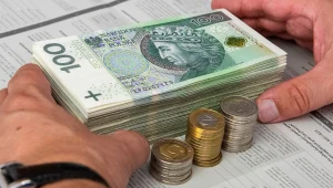 W pandemii fiskus przeprowadził mniej kontroli celno-skarbowych. Spadek jest dwucyfrowy