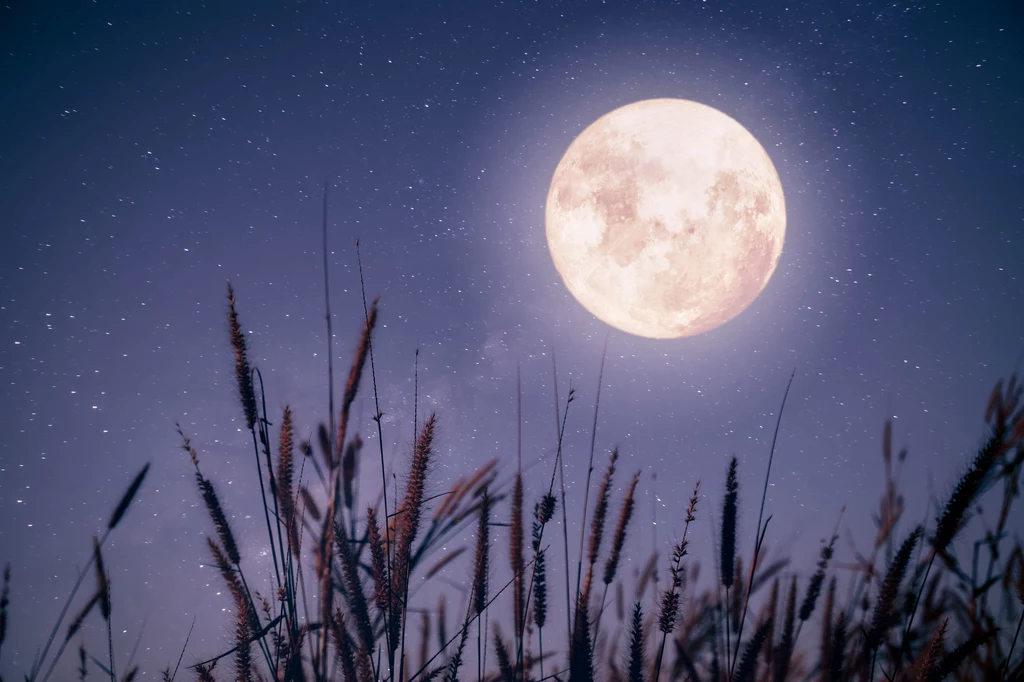W starożytności księżyc był wyznacznikiem mijającego czasu, a nasi przodkowie szukali w nim wiedzy i mądrości