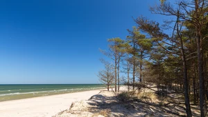 Dzikie plaże nad polskim Bałtykiem. 6 miejsc bez tłumów i z piękną przyrodą