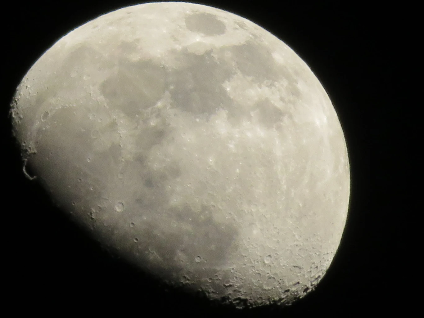 Księżyc może wkrótce gościć DNA zagrożonych gatunków