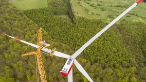 Zielony boom już się zaczął