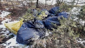 Mazowieckie: Kolejny śmieciarz ukarany grzywną