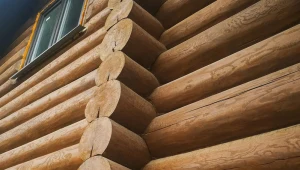 Budownictwo z drewna z trudem zdobywa popularność