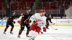 Anthony Mantha (w białej bluzie)