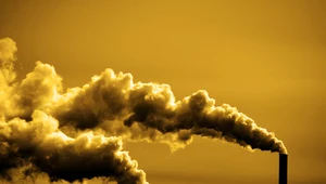 Ekolodzy wzywają UE do wprowadzenia zakazu reklam paliw kopalnych