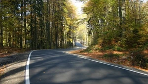 Cztery organizacje uznane za stronę w postępowaniu dotyczącym nowej trasy przez Mazury