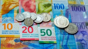 Frankowicze mogą być zadowoleni z orzeczenia TSUE