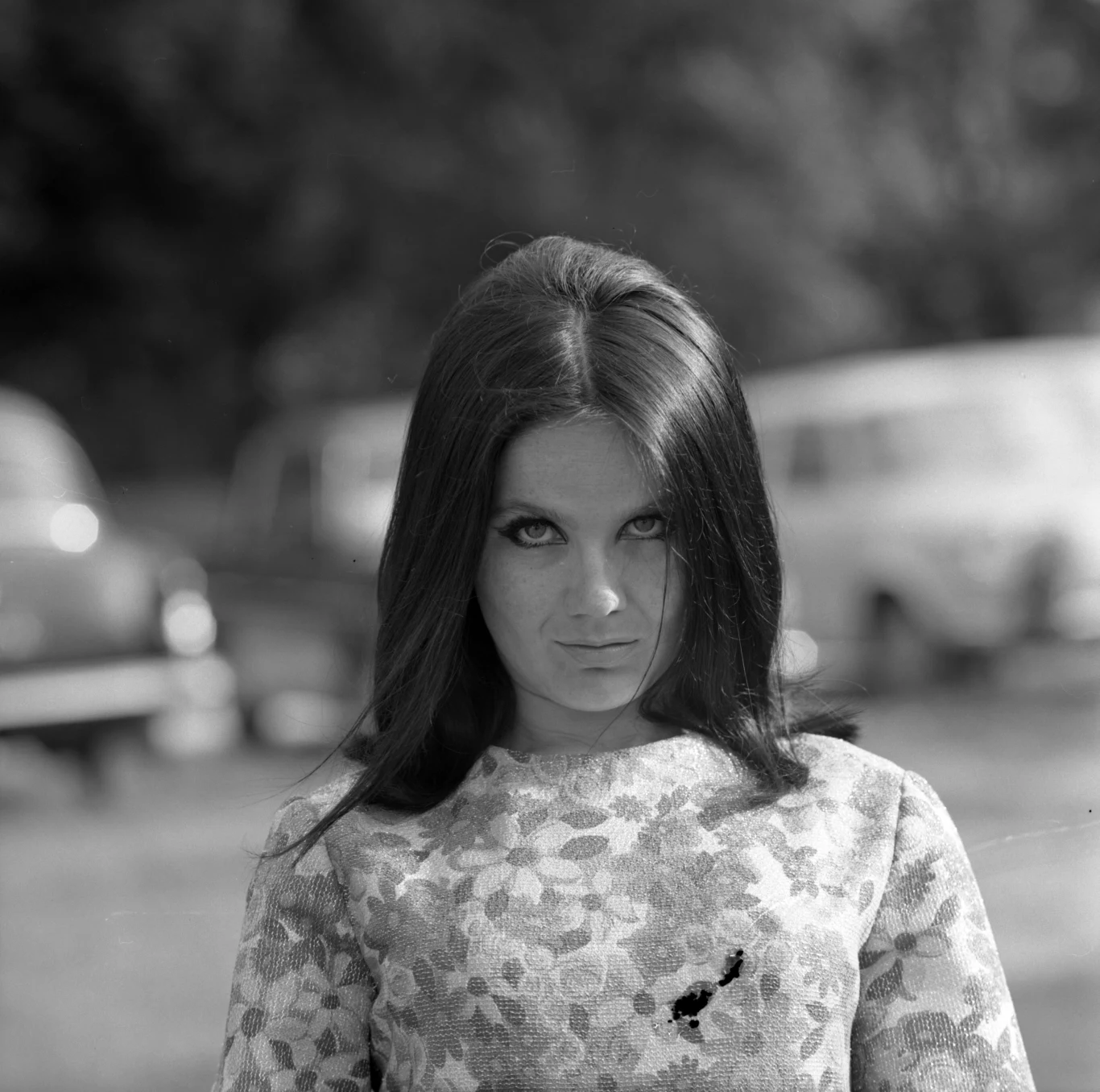 Teresa Tutinas Teresa Tutinas