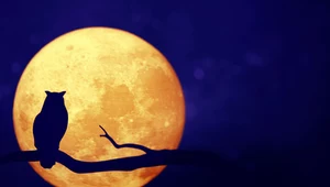 Październikowa pełnia Księżyca. Cztery znaki zodiaku będą miały problemy