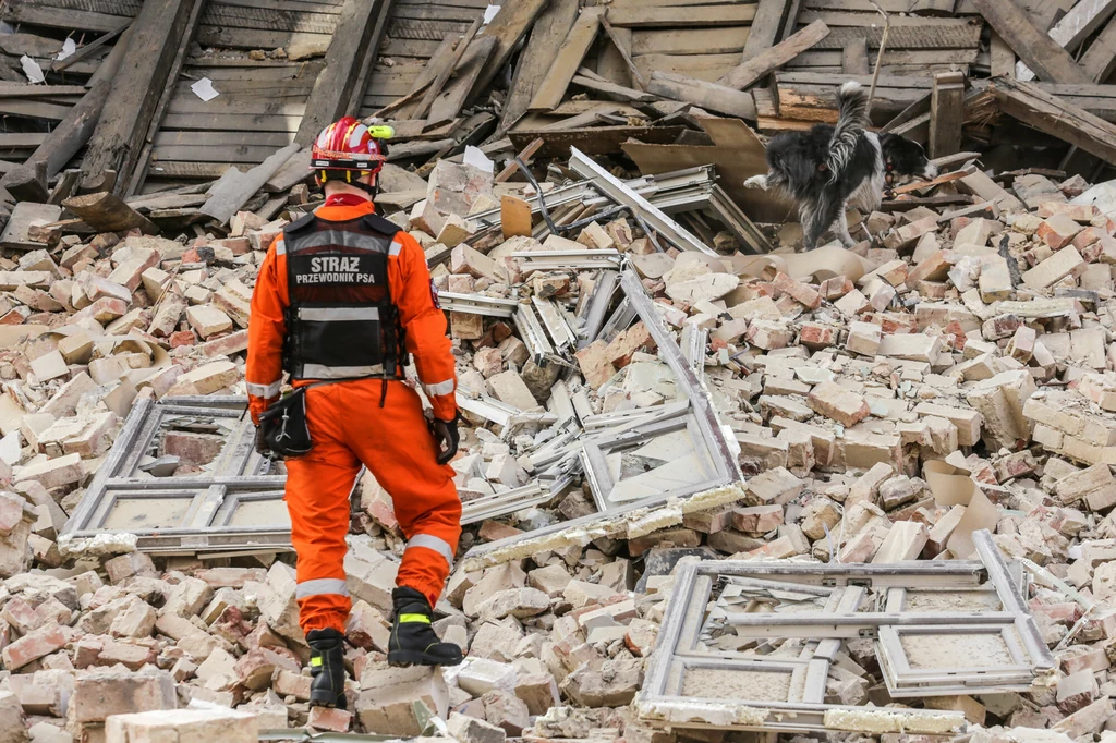 Specjalistyczna grupa poszukiwawczo-ratownicza z psami wyszkolonymi do poszukiwania ludzi pod gruzami badała gruzowisko po zawaleniu się całej frontowej ściany remontowanej kamienicy przy ul. Sobieskiego w Rybniku (Śląskie). Poinformowała o tym rzeczniczka śląskiej straży pożarnej młodsza brygadier Aneta Gołębiowska. Dodała, że z sąsiednich kamienic ewakuowano siedem przebywających tam osób.