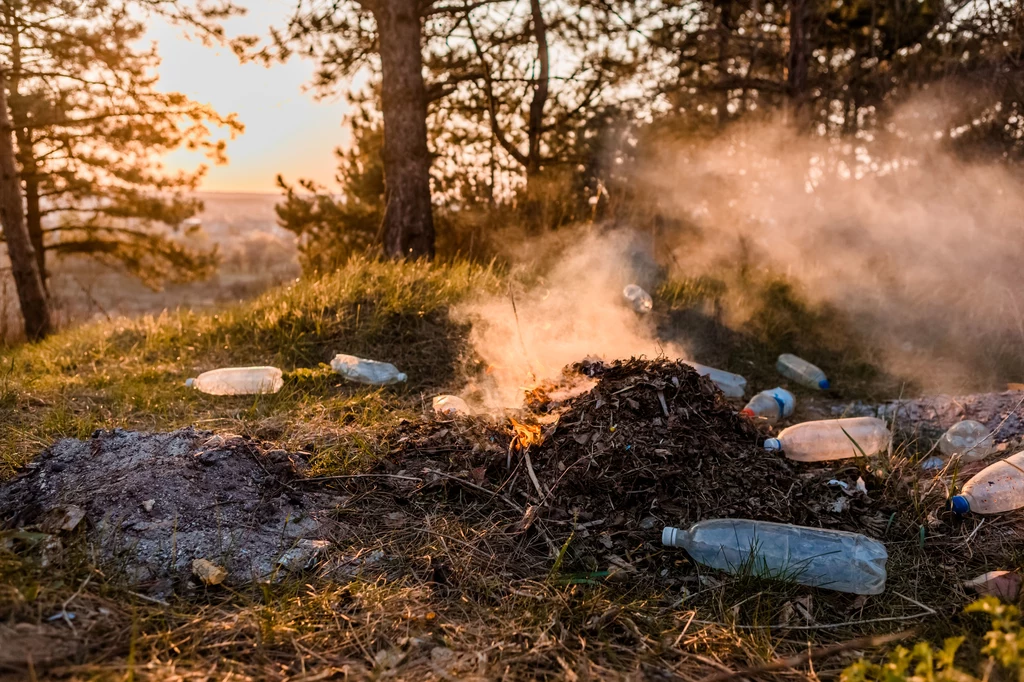 Polskie lasy i parki zamieniają się coraz częściej w wysypiska śmieci 