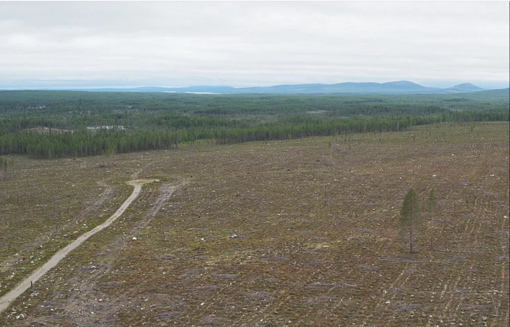 Greta Thunberg opublikowała zdjęcie lasu wyciętego w jej kraju (twitter.com/GretaThunberg)