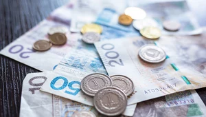 Młodzi Polacy mają 5,8 mld zł długów