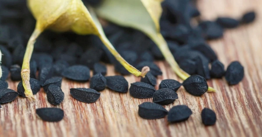 Czarnuszka jest jednym z najzdrowszych roślin na świecie Czarnuszka jest jednym z najzdrowszych roślin na świecie