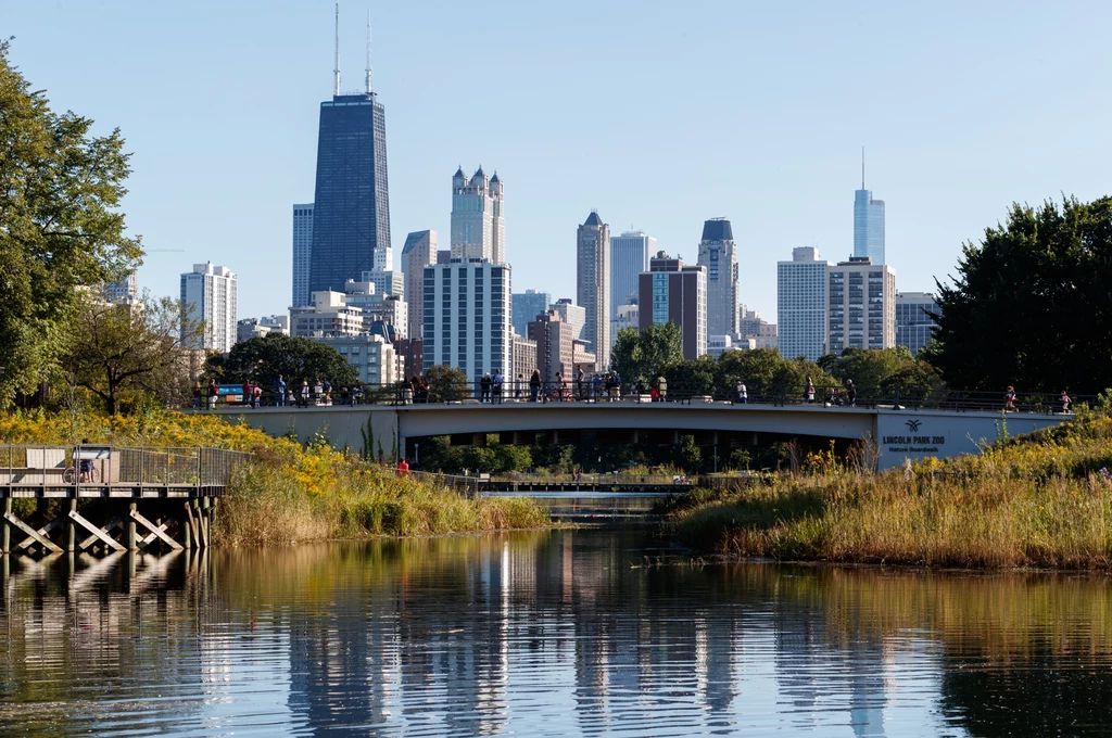 O przestępczości w Chicago mówi się od wielu lat