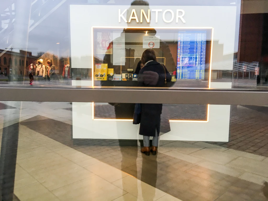 Analitycy: Na koniec roku kursy walut mogą spaść o 20-30 groszy