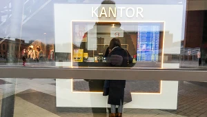 Analitycy: Na koniec roku kursy walut mogą spaść o 20-30 groszy