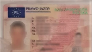 Za to wykroczenie straciłby prawo jazdy, ale było fałszywe