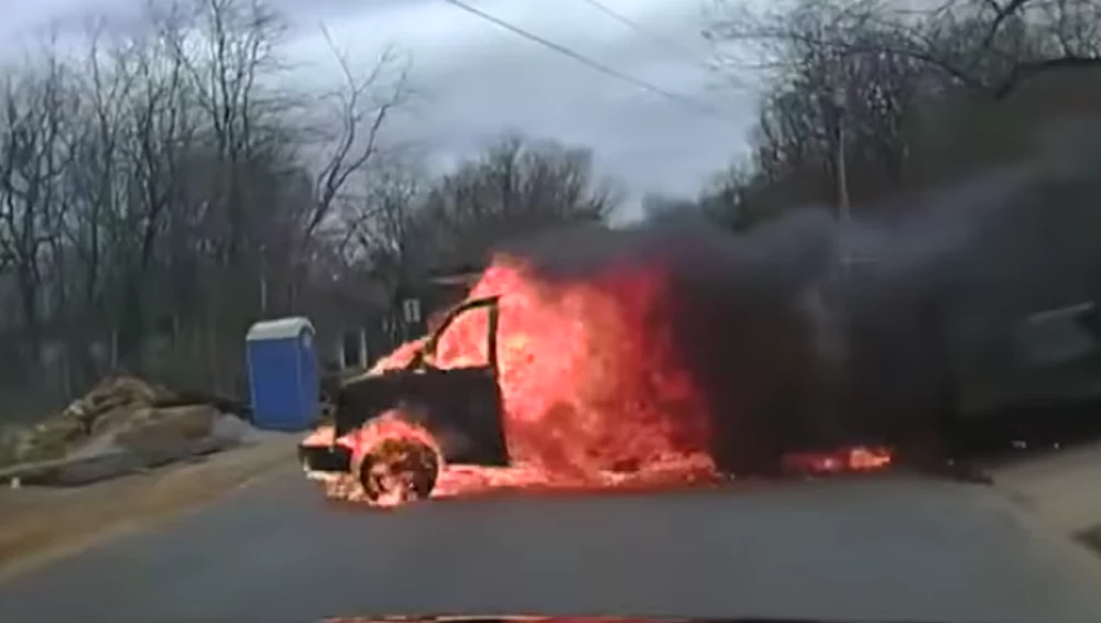 Niecodzienny widok na drodze...