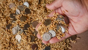 KE chce, żeby uprawy ekologiczne objęły 25 proc. użytków rolnych 