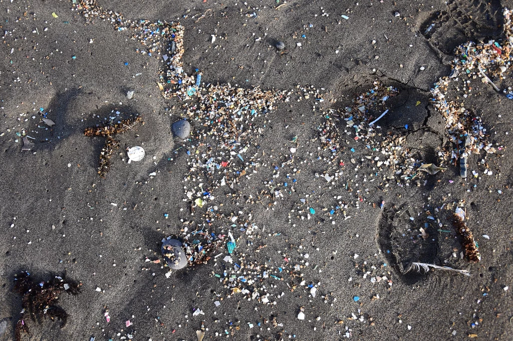 Oczyszczalnie ścieków nie są w stanie zatrzymać malutkich cząsteczek plastiku