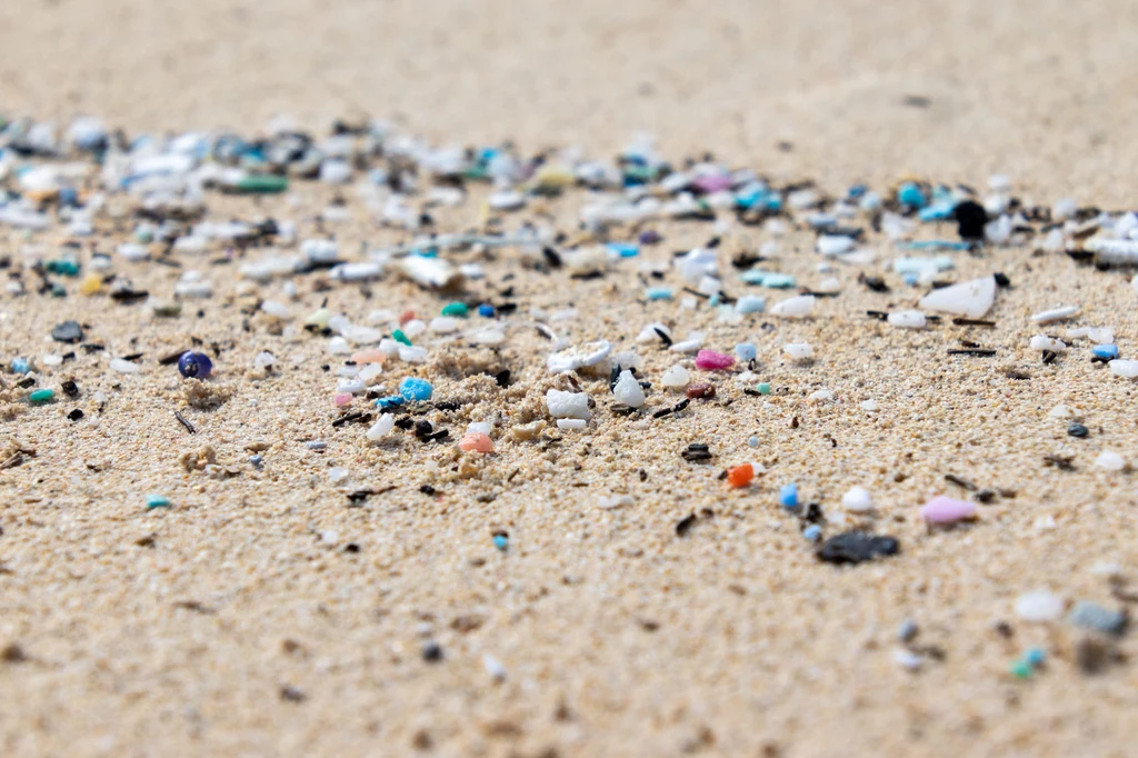 Mikroplastik jest groźny nie tylko dla ludzi, ale także dla życia w oceanach