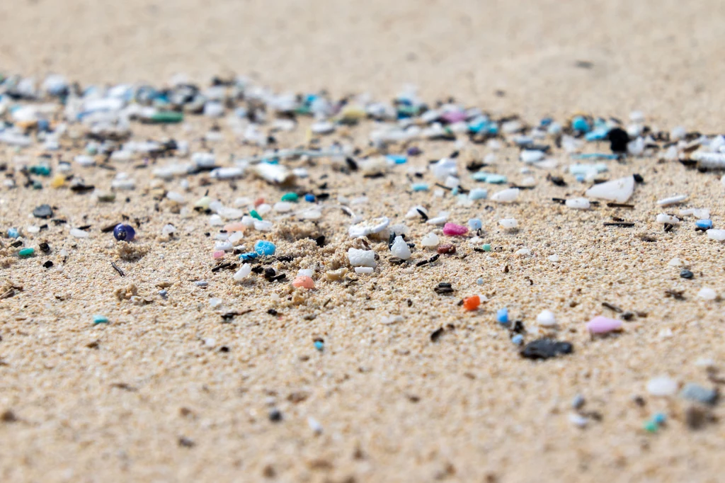 Oczyszczalnie ścieków nie są w stanie zatrzymać malutkich cząsteczek plastiku